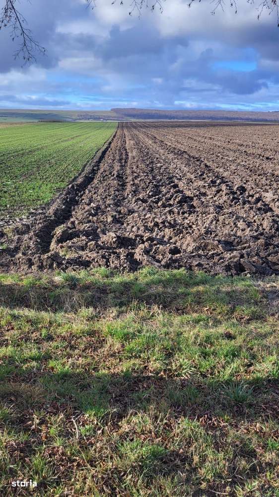 Teren 36 Ari | Mitocu Dragomirnei | 25.500 €-0