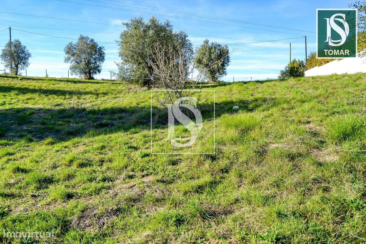 Terreno  Venda em Tomar (São João Baptista) e Santa Maria dos Olivais,-14