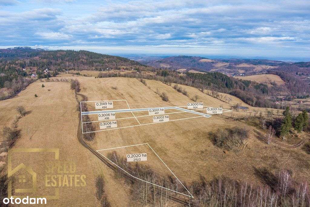 Unikalna Działka z Widokiem na Góry Sowie - Pełny obrazek: 4/7