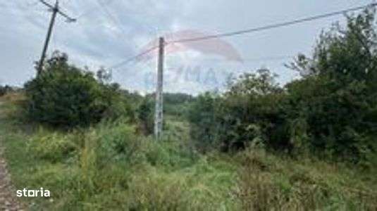 Teren 3542mp Campia Turzii COMISION 0% - Imagine principală: 5/7