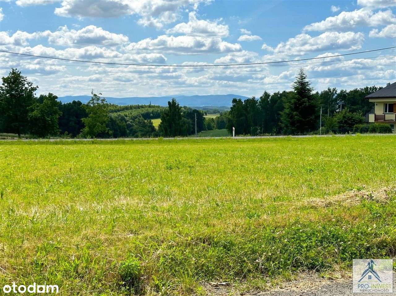 Dom + usługi nieuciążliwe bezpośrednio przy drodze-17