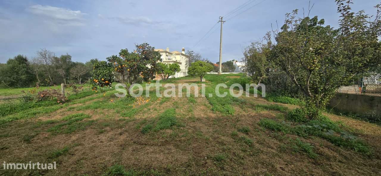 Terreno Para Construção  Venda em Almancil,Loulé - Grande imagem: 4/12