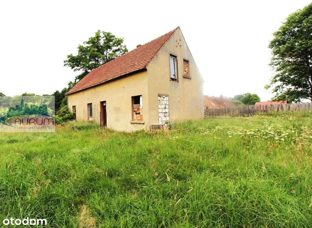 Dom do adaptacji z działką.-1