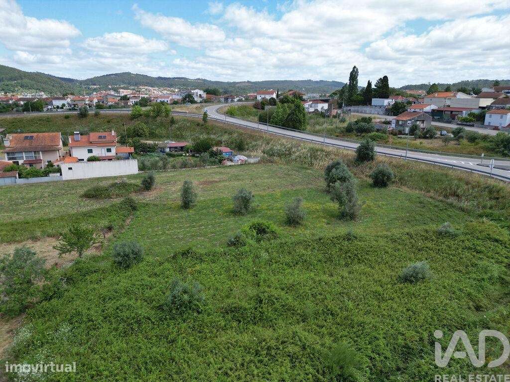 Terreno em Miranda do Corvo de 1840,00 m2 - Grande imagem: 5/11