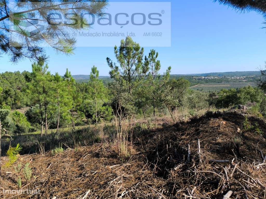 Terreno com vistas deslumbrantes - Grande imagem: 5/19