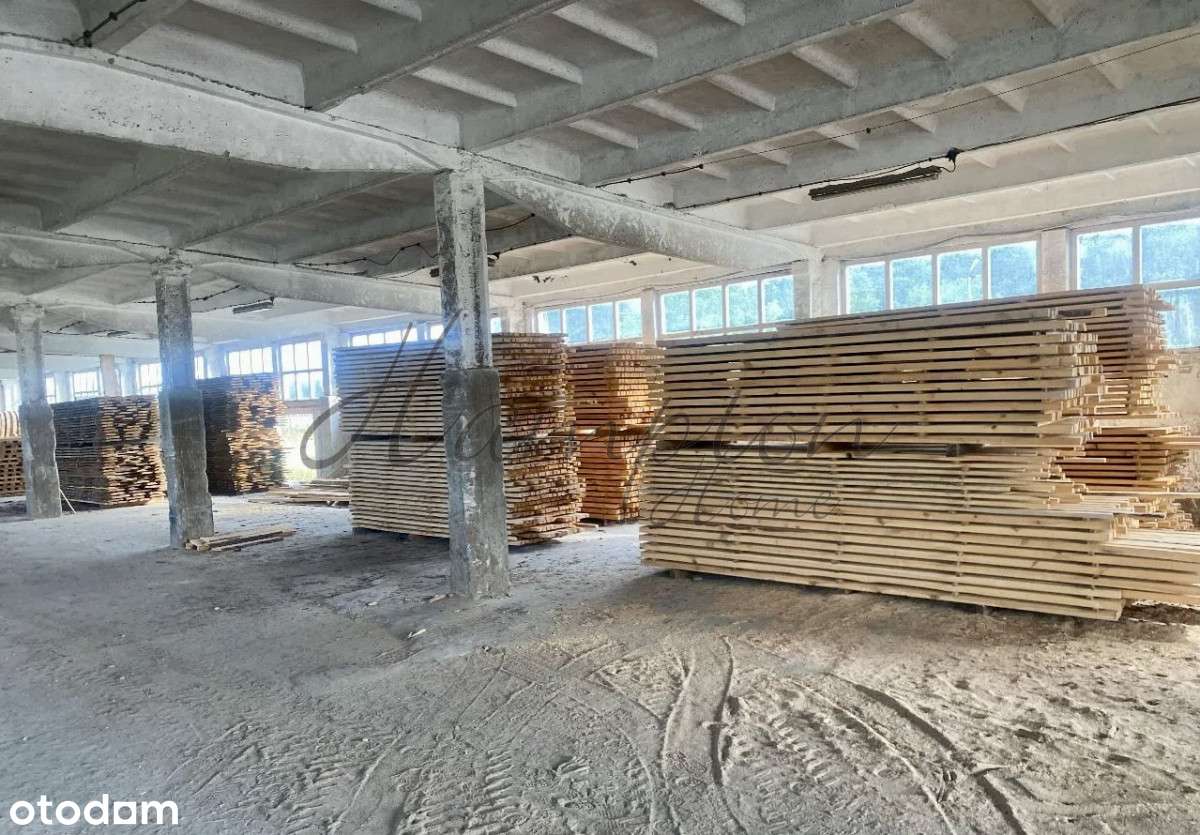 Hale z magazynami, linią produkcyjną-10