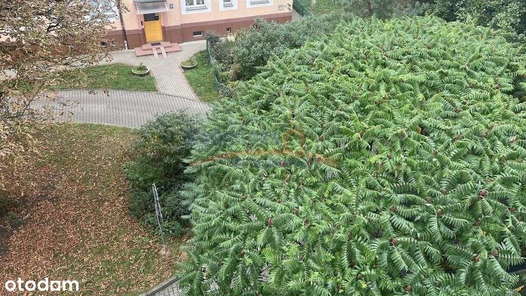 2 pok./z możliwością na 3pok.balkon -Pogodno-2