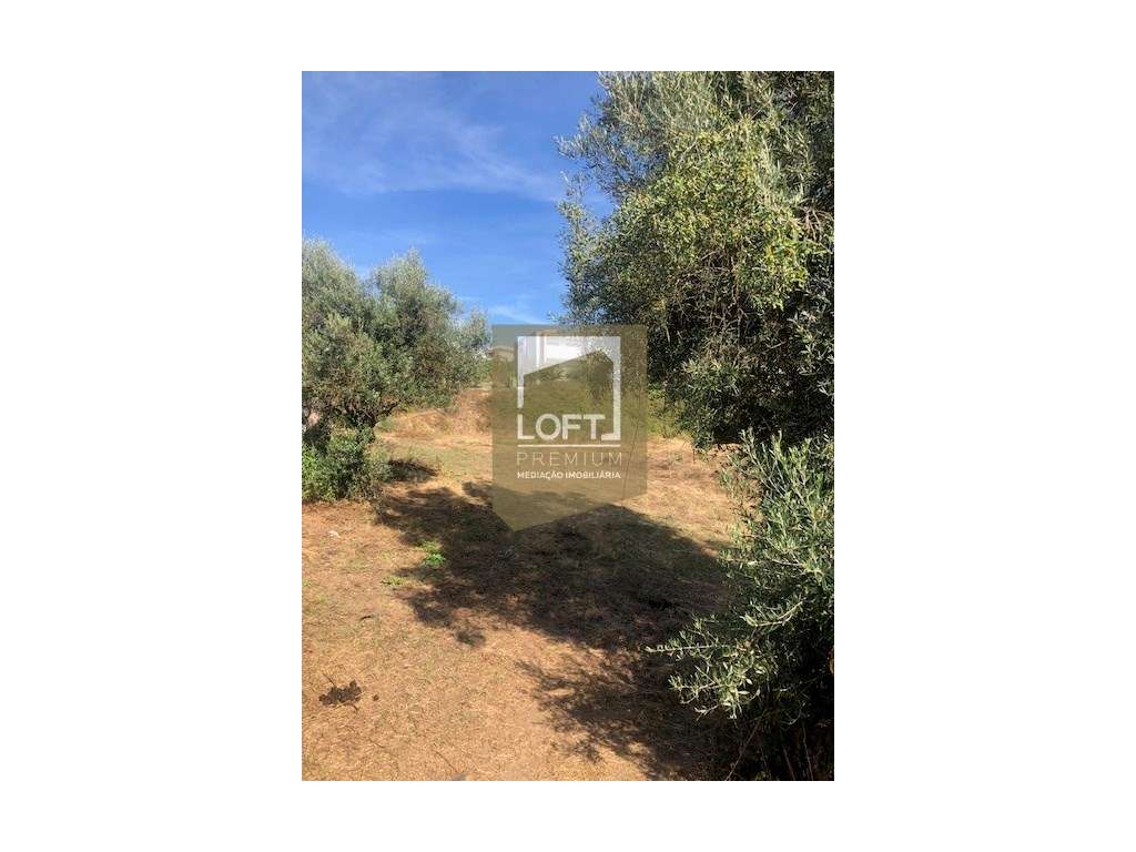 Fantástica Propriedade Central à Margem do Rio-6