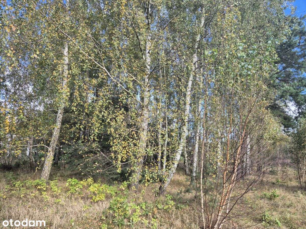 Działka pod dom na nowym osiedlu-7