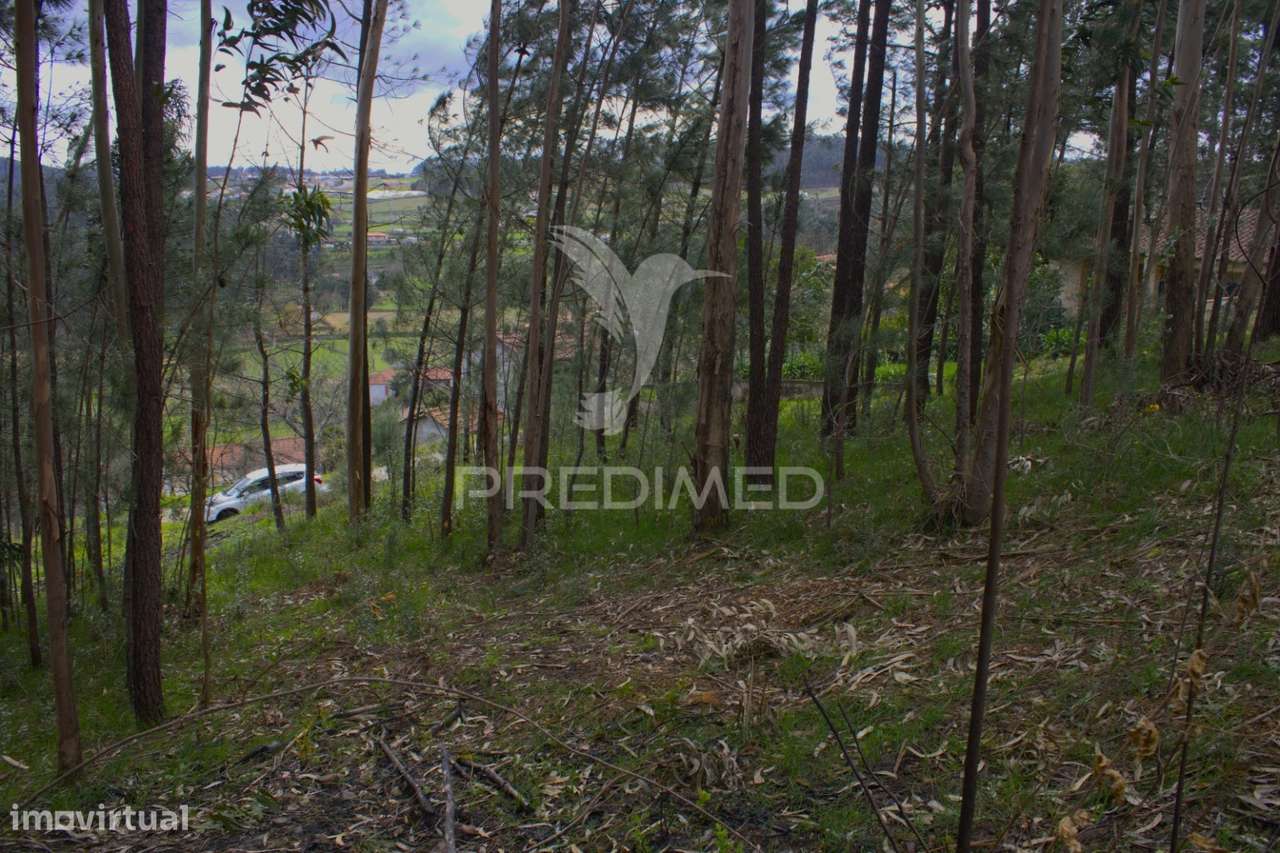 TERRENO URBANO NA ZONA DO FORCADO, TELÕES, AMARANTE, PORTO - Grande imagem: 4/5