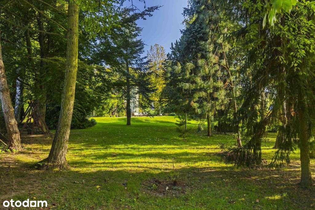 Dom Z Lasem I Malin - Pełny obrazek: 4/20