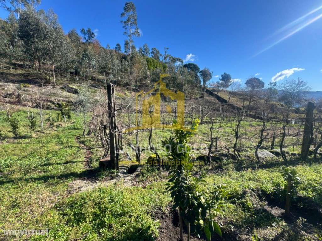 Terreno para Construção - Grande imagem: 2/6