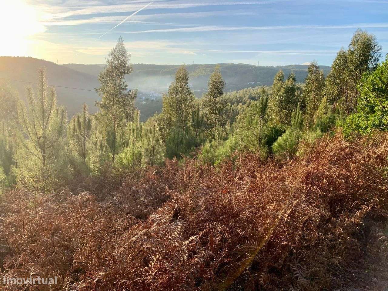 2 Terrenos juntos 290m margem en 344 - Grande imagem: 4/56