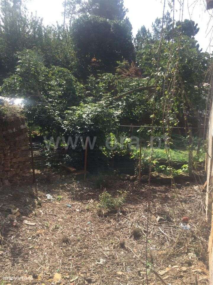 Terreno com ruina / Fundão, Souto da Casa - Grande imagem: 3/3