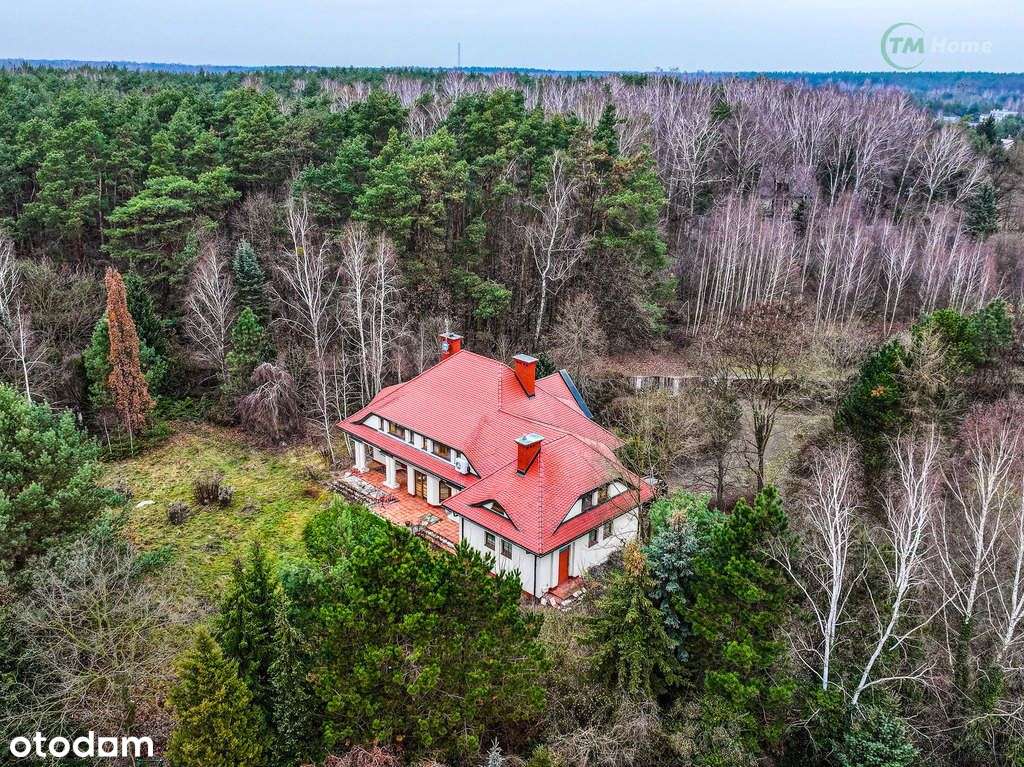 Strzeniówka 2000 m2 - Pełny obrazek: 2/20
