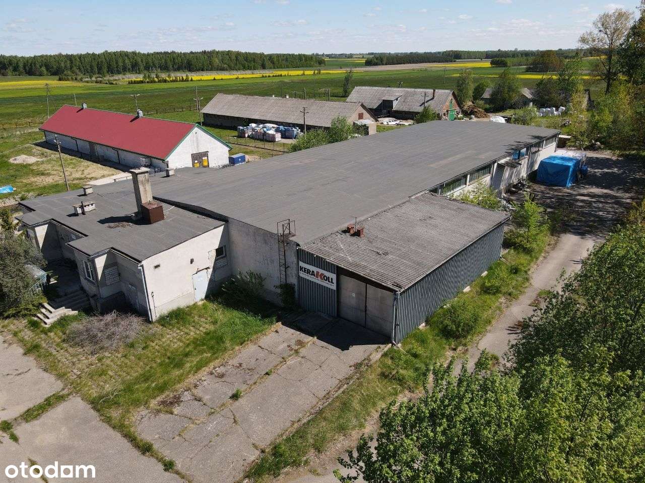 1232 m2 - murowana hala + inne, 9826 m2 terenu! - Pełny obrazek: 4/20