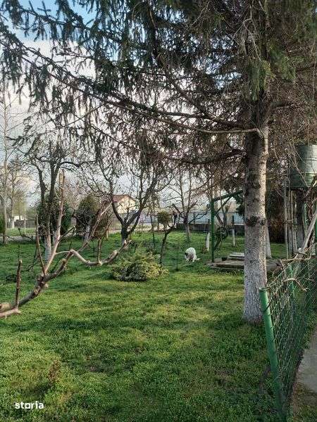 Casa de vanzare Calugareni Branistari - Imagine principală: 5/8