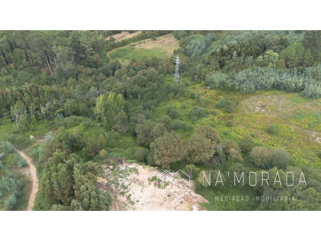 Terreno rústico com cerca de 24.700m2 na Urb. Minas do Pintor, Nogu... - Grande imagem: 4/30