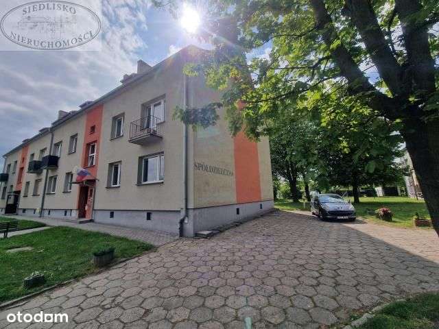 Parter, dwa pokoje, duży taras, duża piwnica-16