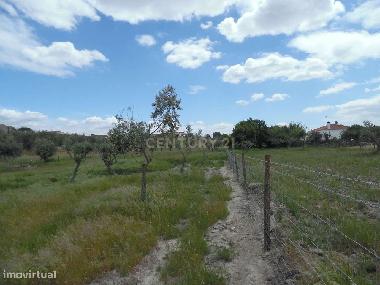 Quinta em Capelins,  Alandroal - Évora,  Oportunidade Única-49