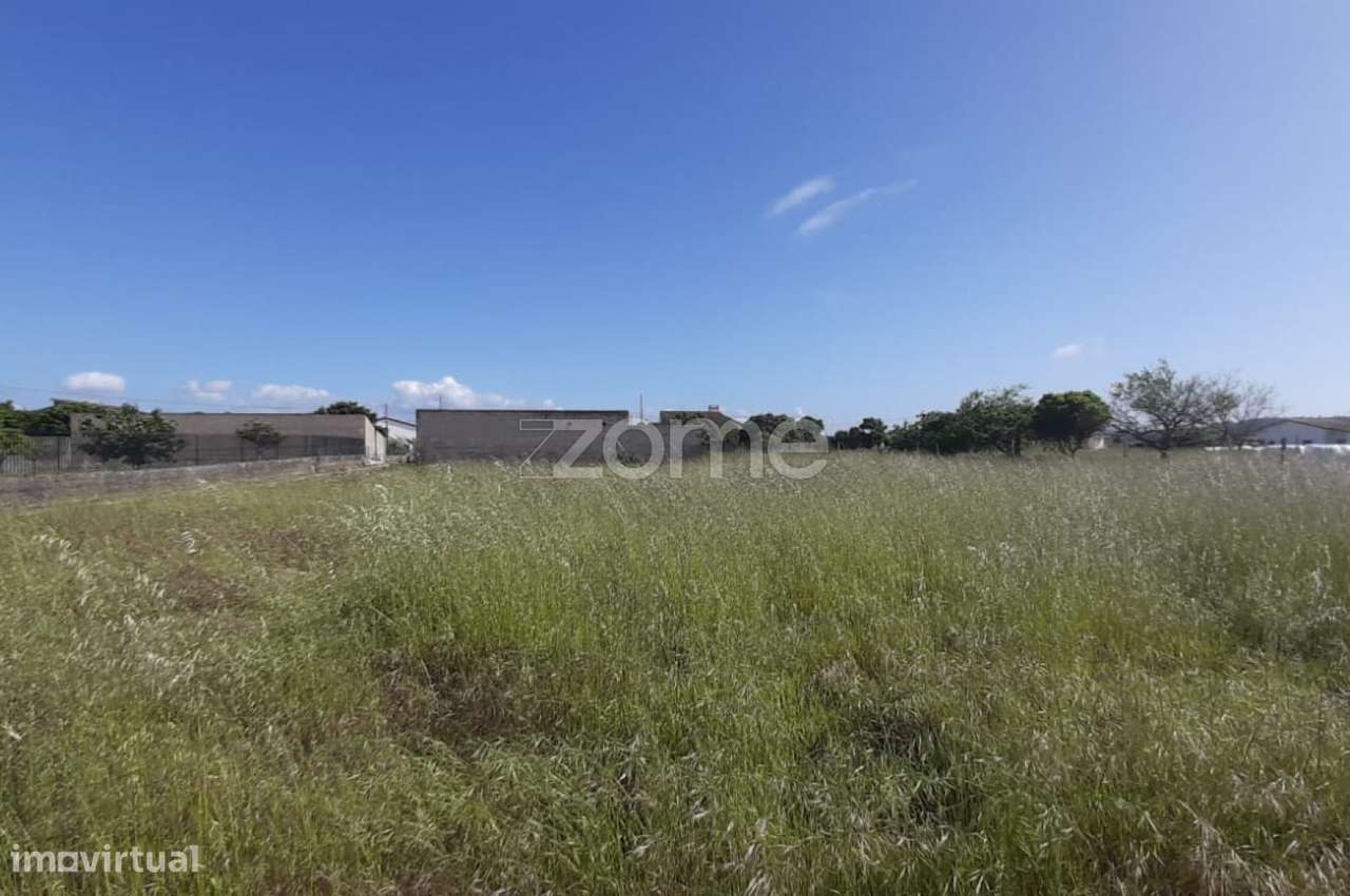 Terreno 1390 m2 | Ereira | Montemor-o-Velho - Grande imagem: 5/16