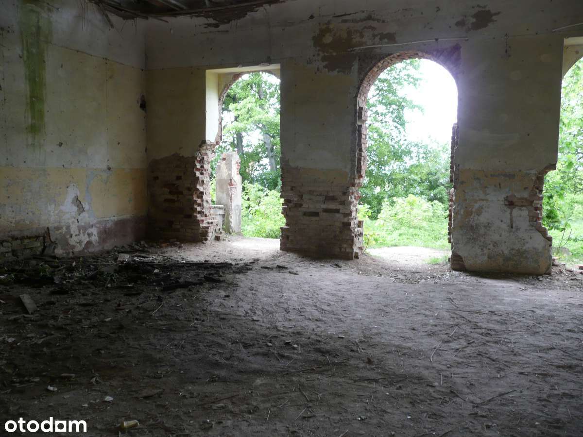 Zabytkowy Dwór z Parkiem-11