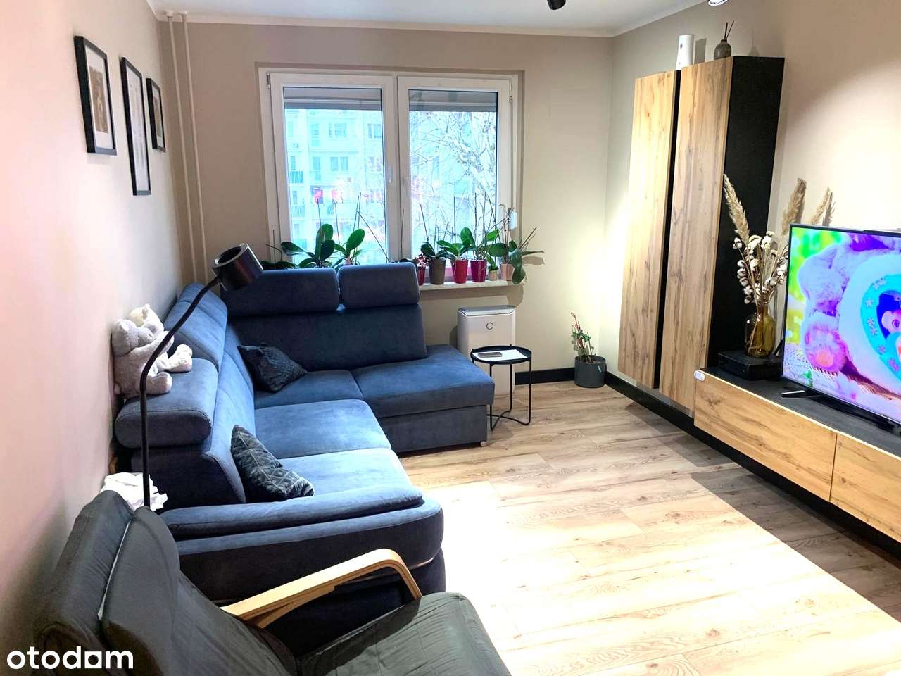 Trzypokojowe mieszkanie z klimatyzacją - Lubin, ul. Fredry-0