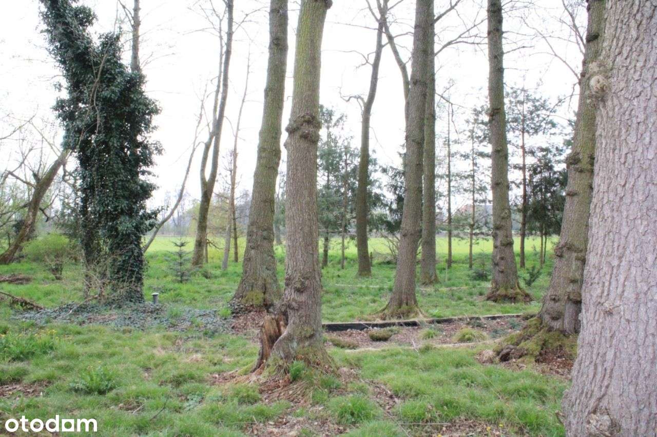 Dom, 140 m², Kazimierz - Pełny obrazek: 5/6