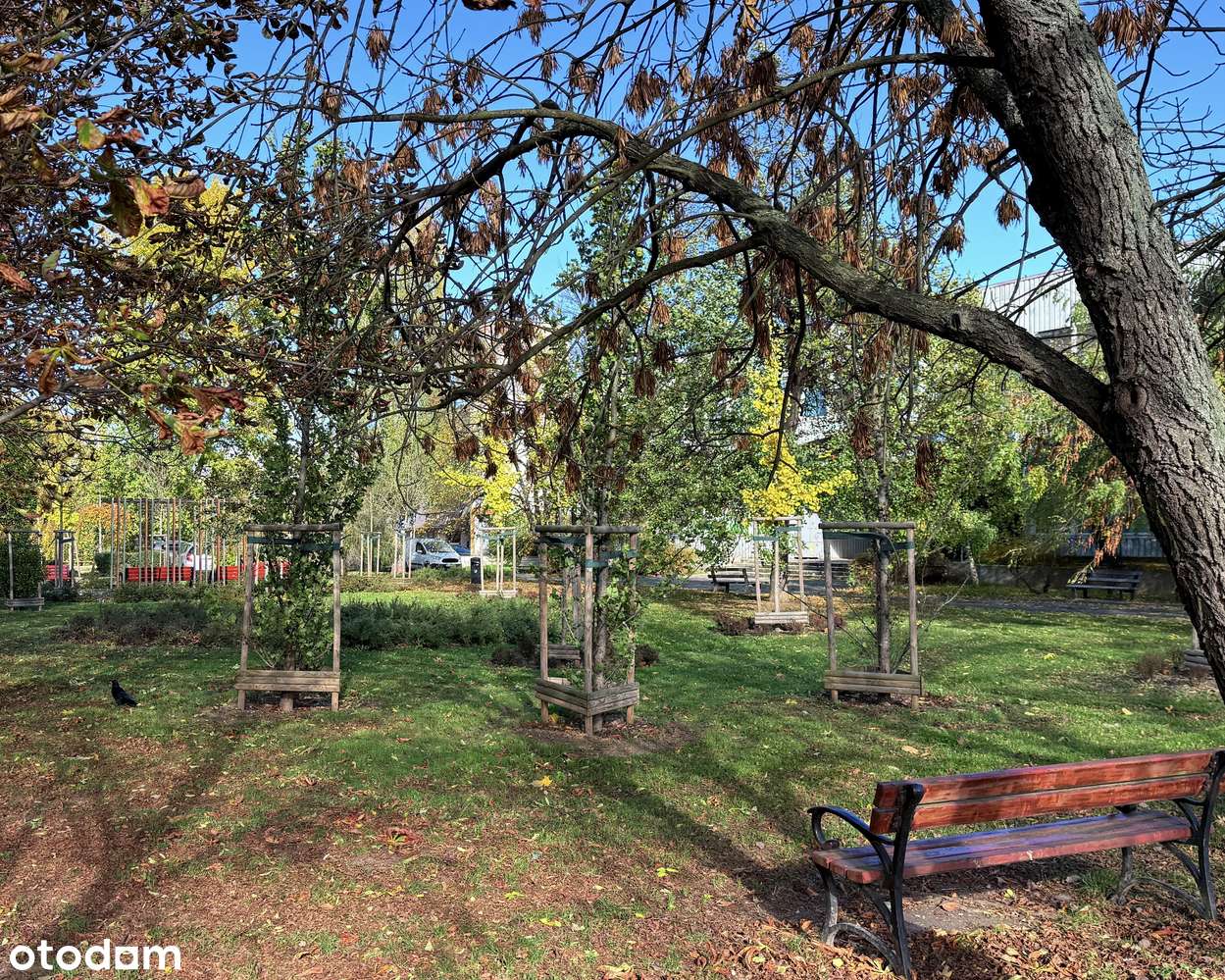 REZERWACJA | 4 pokoje | parter | balkon | po generalnym remoncie - Pełny obrazek: 5/6