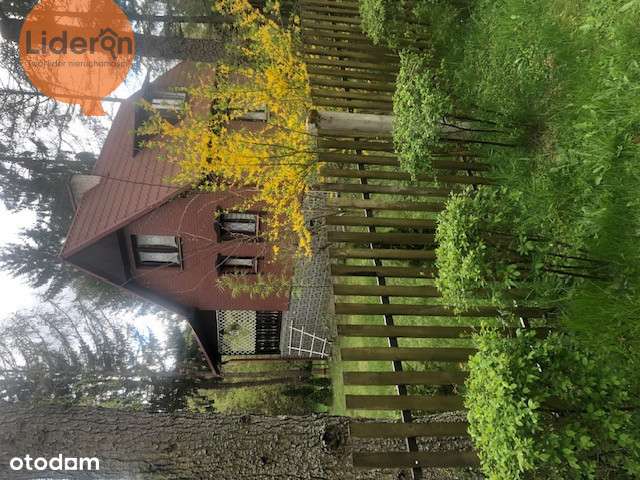 Mazurska Oaza Spokoju -Dom +działka(Gratis!)-5