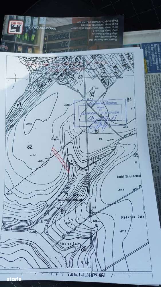 Teren vanzare Branesti, langa padure. Dubla deschidere. - Imagine principală: 4/7