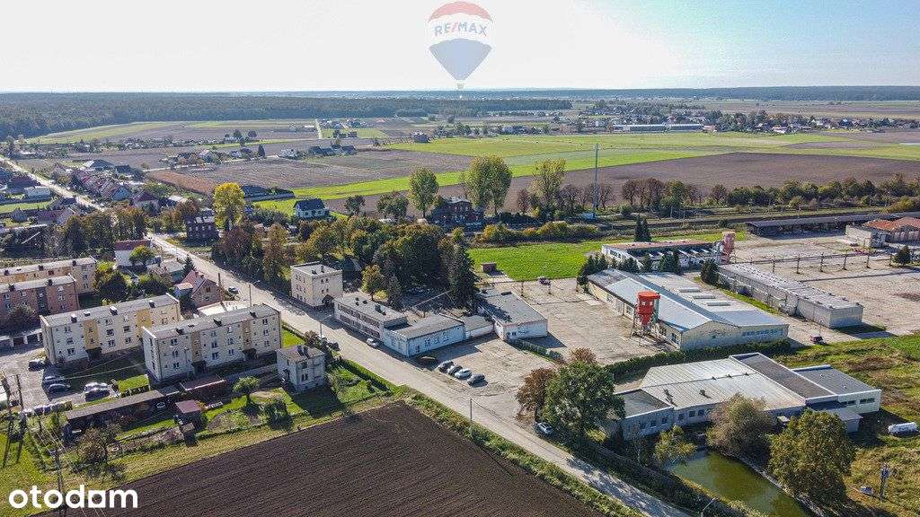 Krotoszyn/Biadki obiekt produkcyjny hala magazyn - Pełny obrazek: 4/20