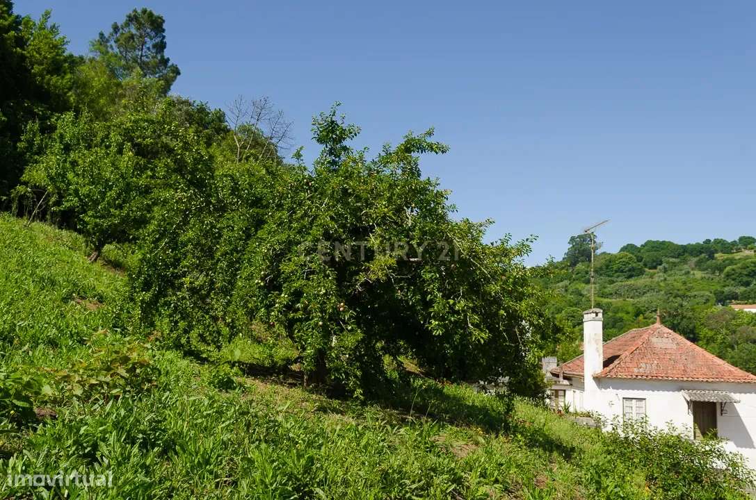 Prédio com Vista Panorâmica na zona Histórica de Alcobaça-18
