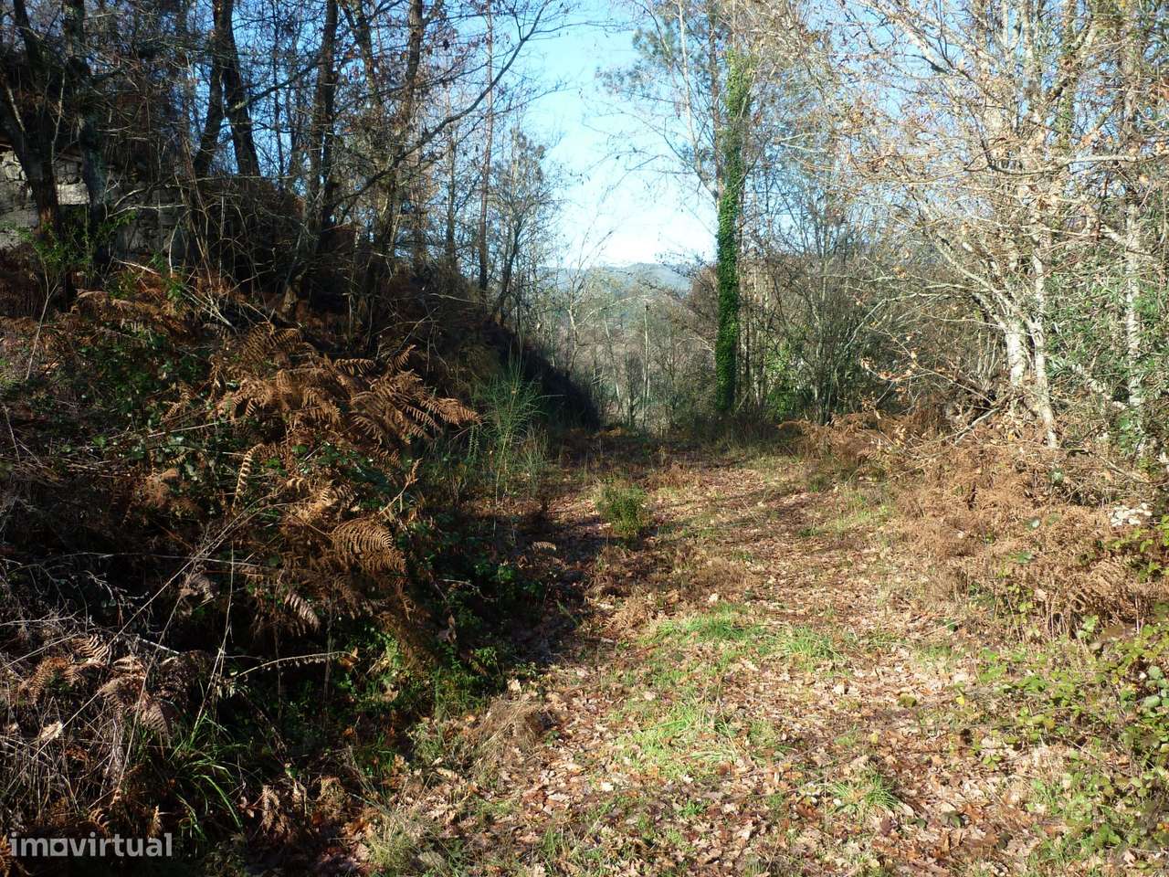 Terreno Junto a Nascente do Rio Ave!!!-13