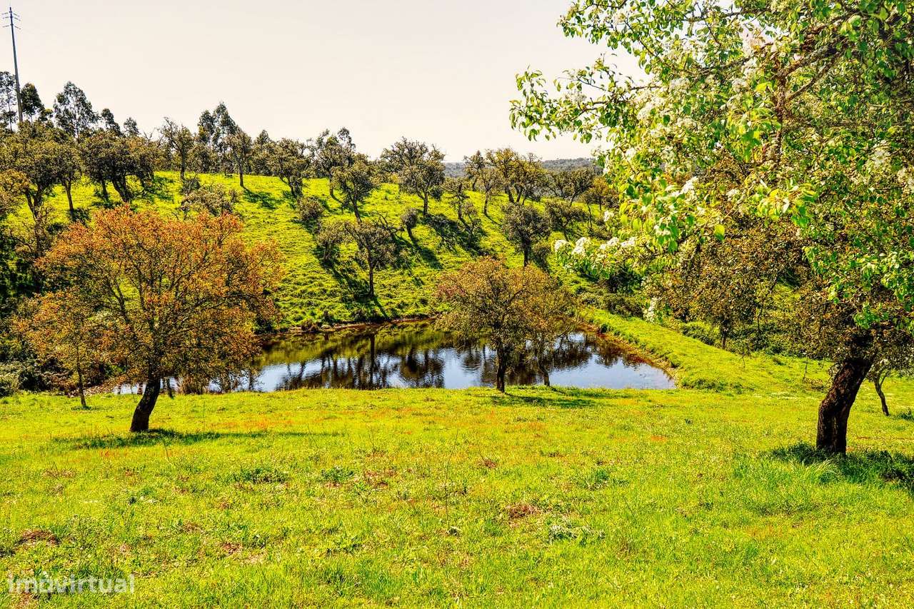 TERRENO EM S.BARTOLOMEU DA SERRA-36