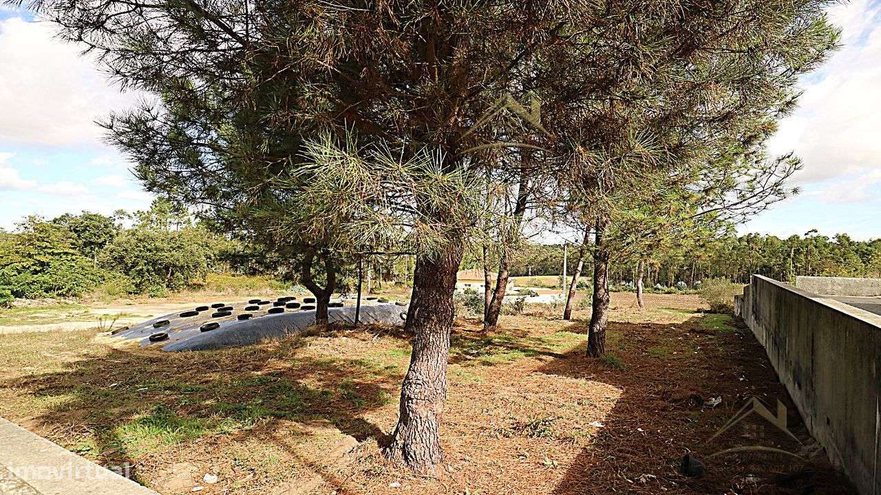Terreno 20.000m/2 Macieira da Maia-13