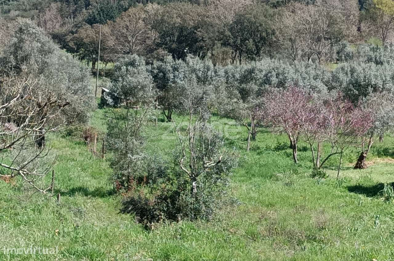 Terreno misto c/ 2100 m2 sendo 625 m2 urbanos | V.N.Poiares - Grande imagem: 3/15