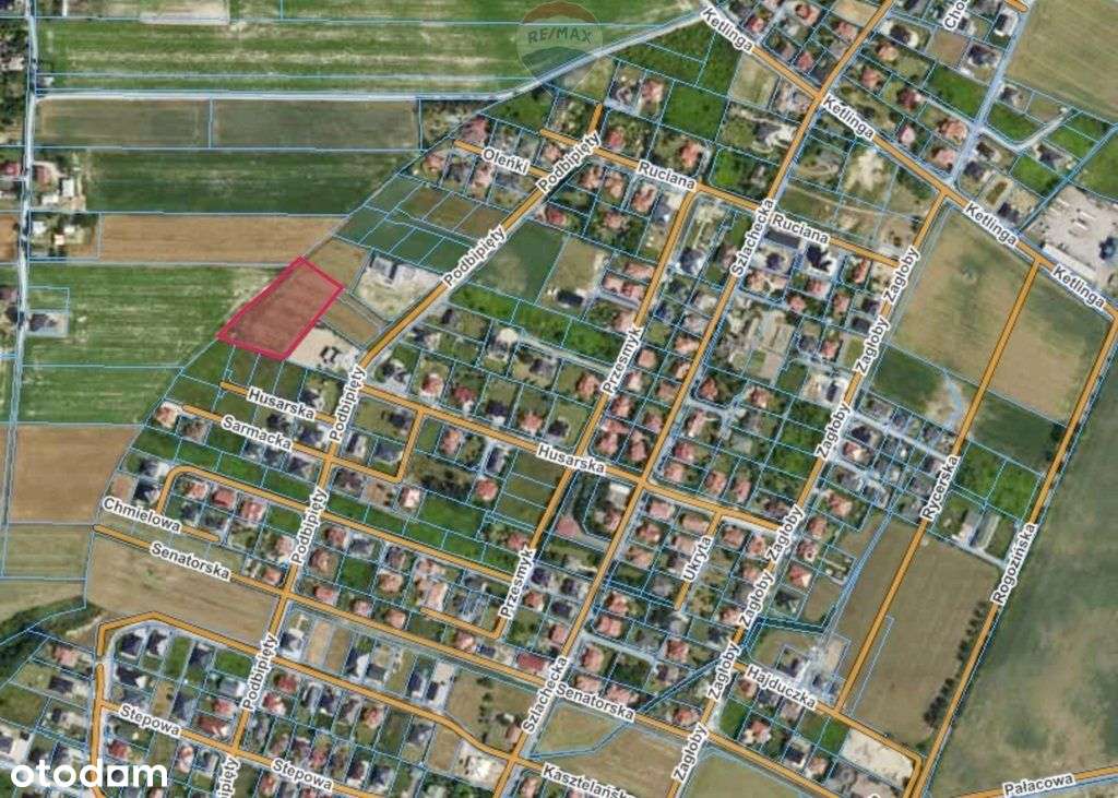 Prestiżowa działka 5306 m² 8 min od centrum Płocka - Pełny obrazek: 4/8