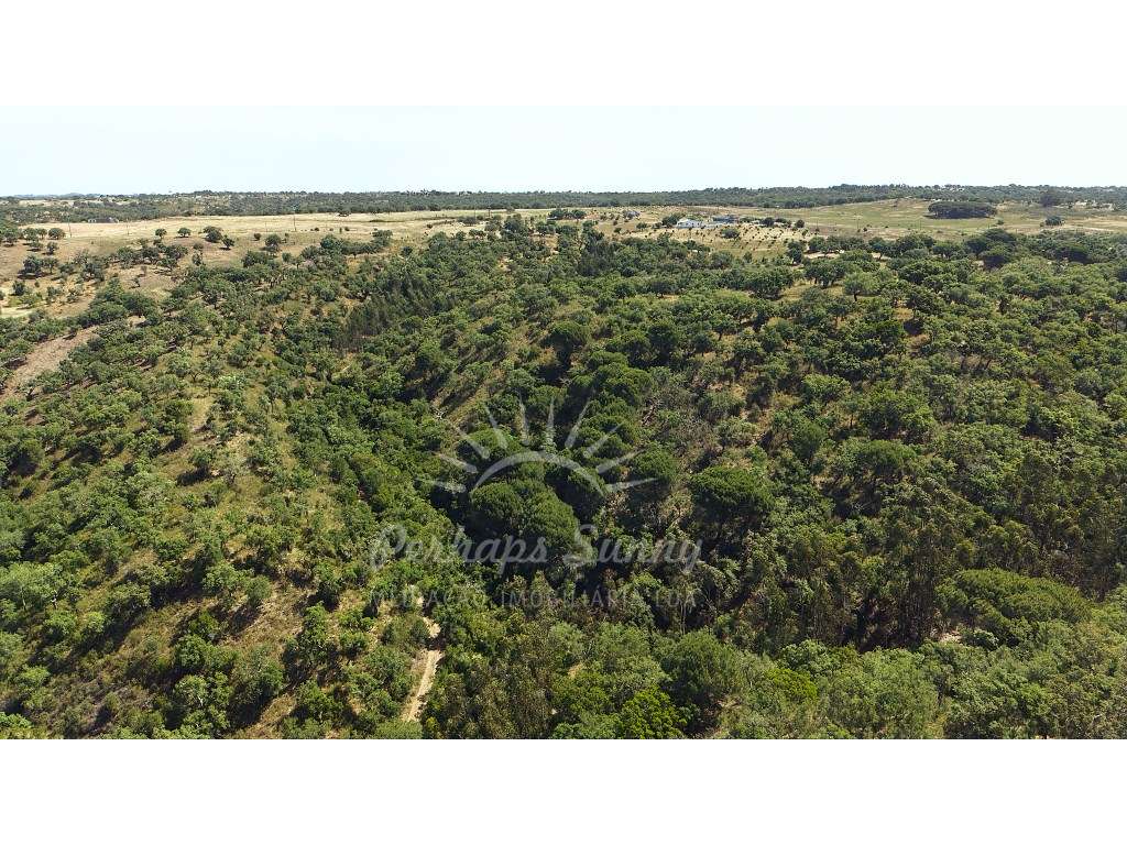 Terreno Misto para construção de Habitação ou Turismo - Melides-22