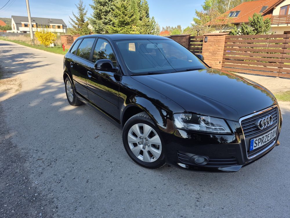 Audi A3 8P 1.6 Ambition 2009