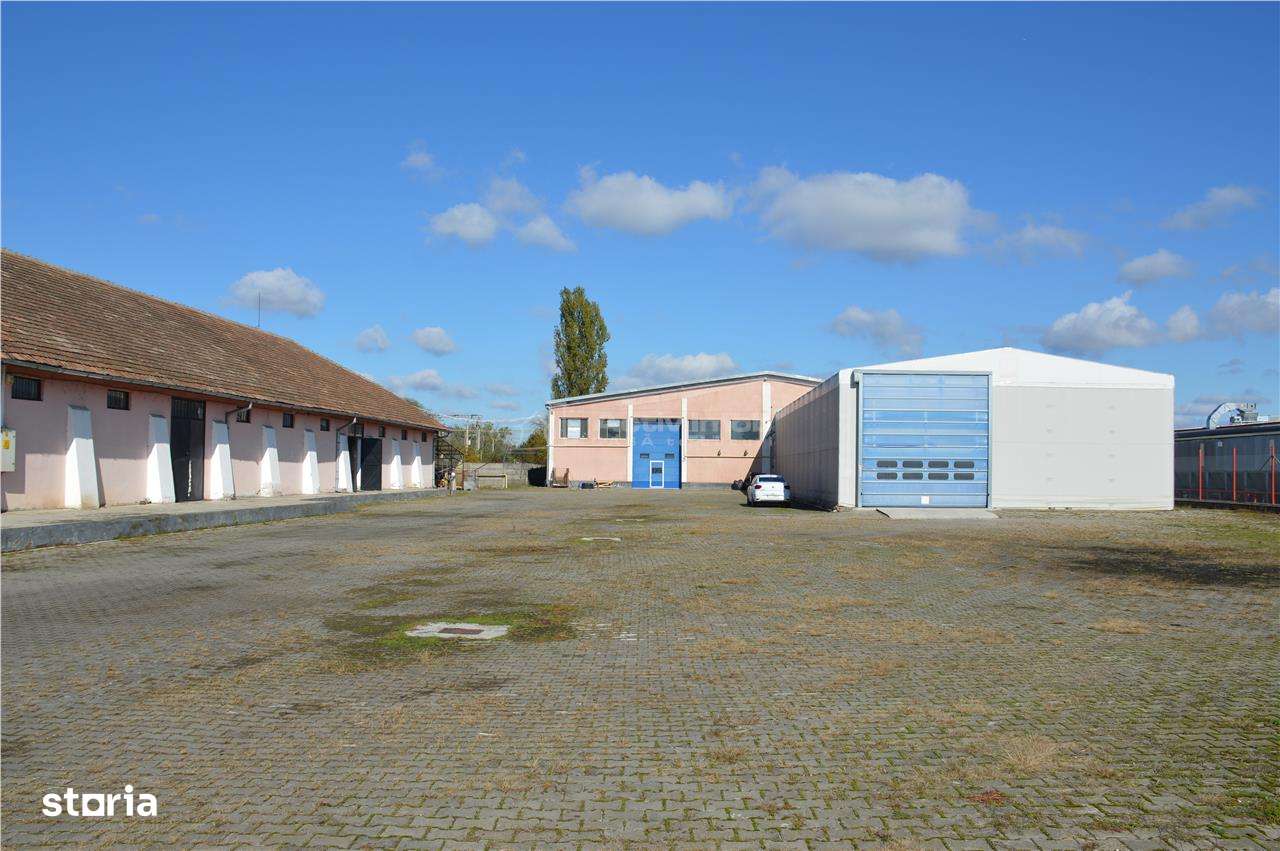 Ansamblu Industrial - Hale - 3027 mp - Teren 12822 mp - Jucu- Cluj - Imagine principală: 2/16