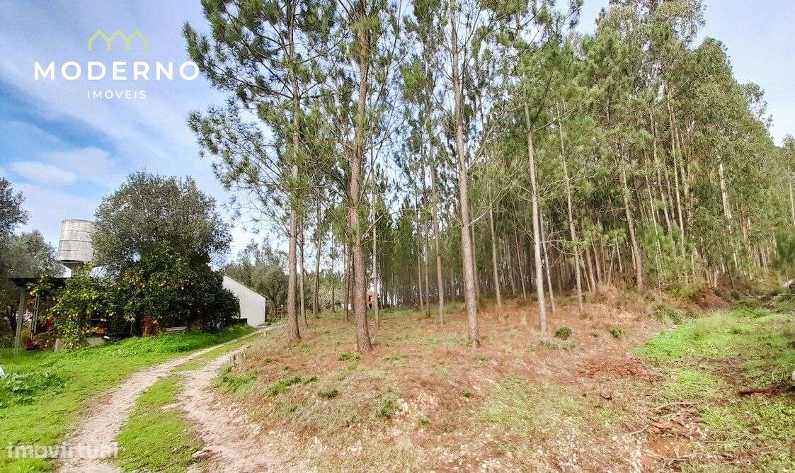 Terreno de Construção – Água Formosa – Ilha - Grande imagem: 4/6