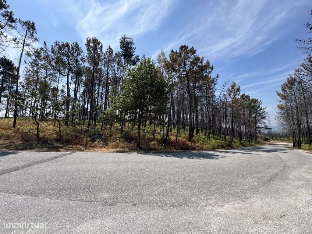 Terreno para venda em Mões - Castro Daire - Grande imagem: 4/10