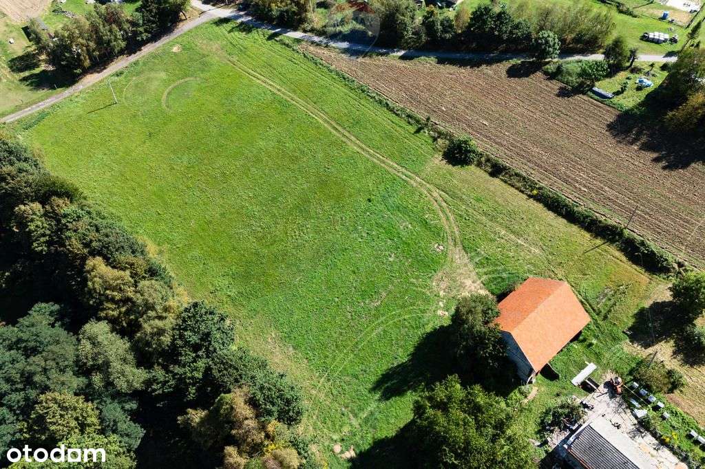 Działka budowlana 70ar media, droga asfaltowa - Pełny obrazek: 4/10