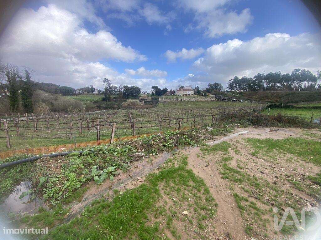 Terreno em Monção e Troviscoso-2