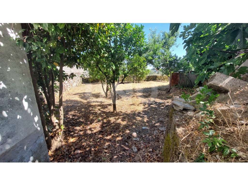 Moradia T5 com Logradouro - Grande imagem: 3/15