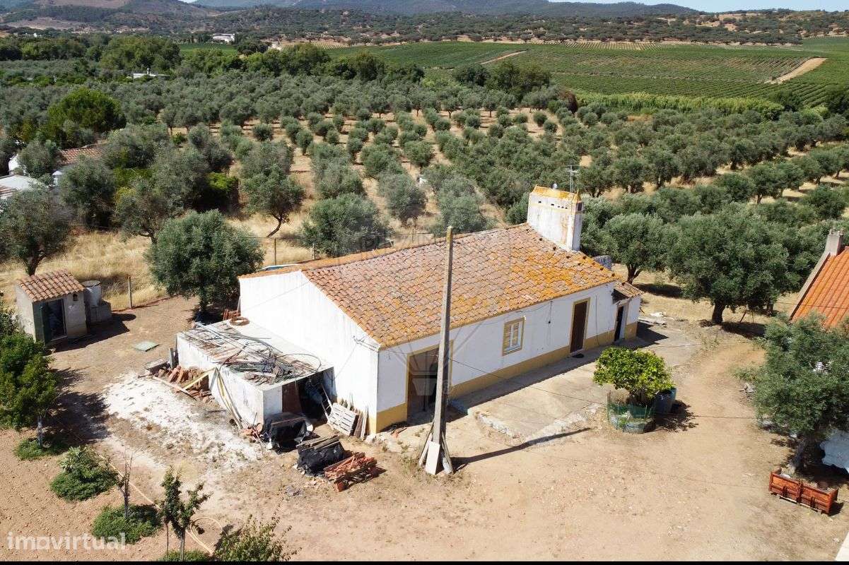 Quinta T2 para venda - Grande imagem: 4/29