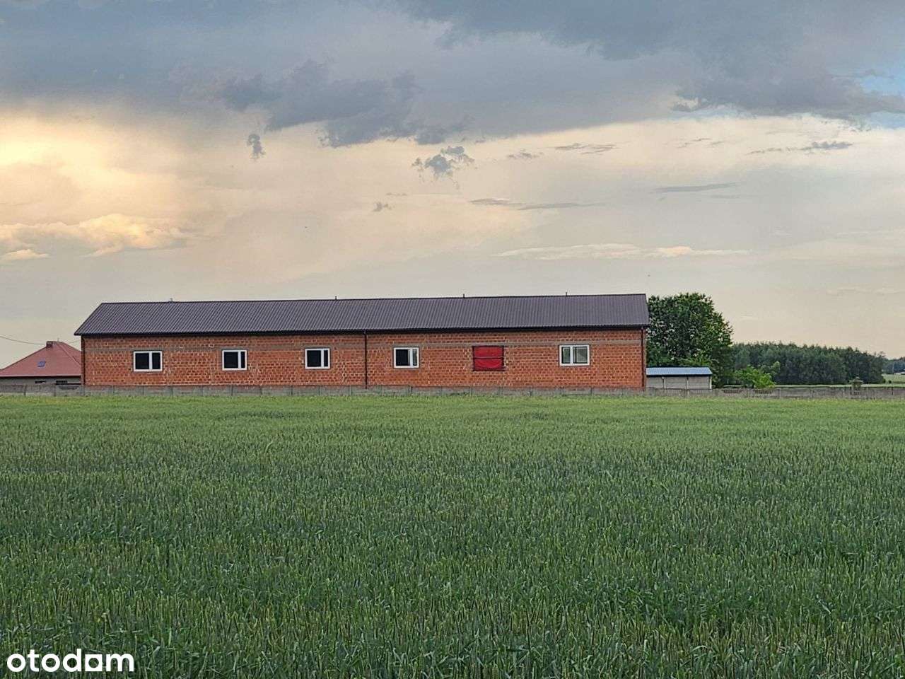 Sprzedam halę Strzelce Wielkie duża możliwość adaptacji hali i działki-5
