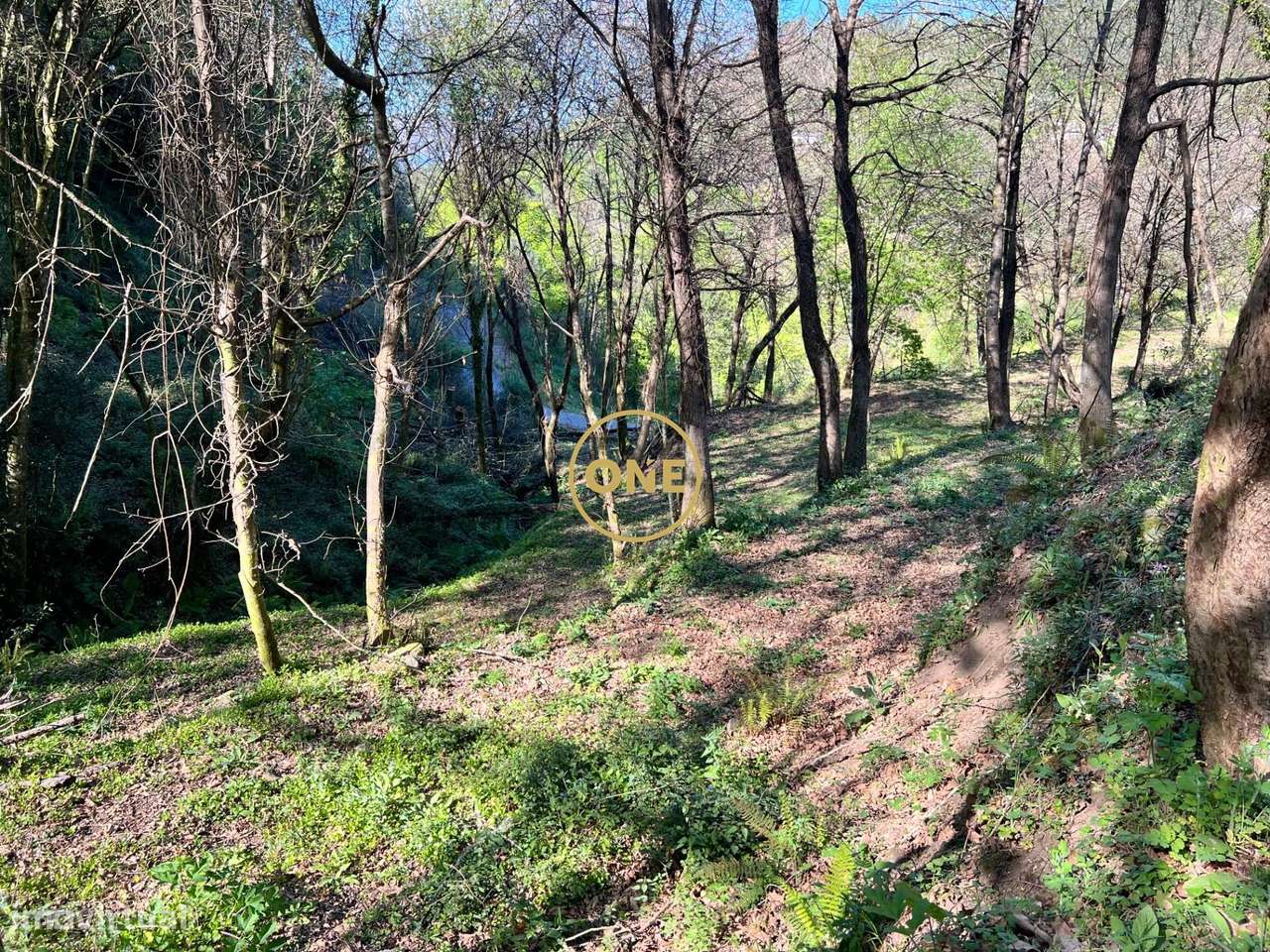 Terreno Agrícola com Potencial de Agro-turismo em Terras de Bouro - Grande imagem: 5/18