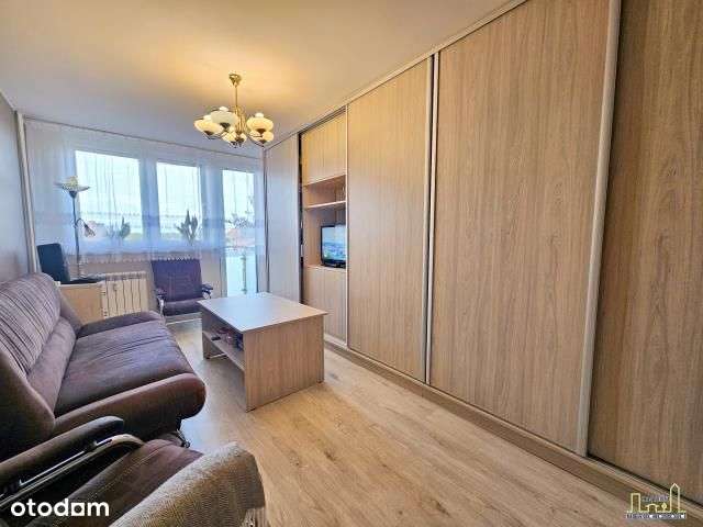 Komfortowe, Małe, Od Zaraz!-0